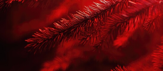 Red Illuminated Fir Needles Closeup Soft Glowing Light on Evergreen Branches Creating a Text Space for Seasonal Designs or Messages