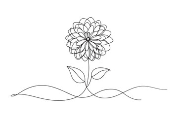 Zinnia flower Continuous line art flat vector illustration.
