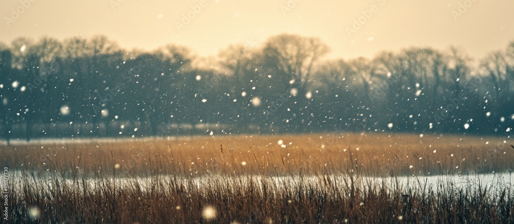 Poster tranquil winter scene with soft snowfall over a serene landscape featuring golden grass and distant 