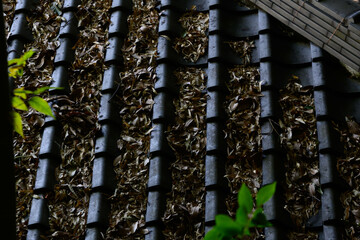 晩秋の日本、瓦屋根に落ち葉が集まる