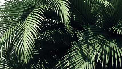 Realistic palm leaves casting dynamic shadows in the sun, 3D render with moving tropical foliage, sunshade concept, moving, shadow