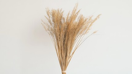 A broomstick with a long handle and a straw handle