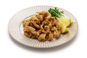 Butaniku Karaage ( deep fried pork ), Japanese food