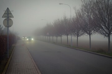 Fototapeta premium Bad weather driving - foggy hazy country road. Motorway - road traffic. Winter time.