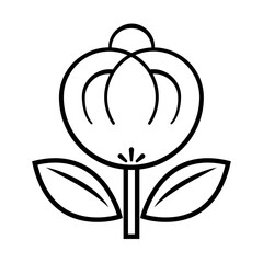 kamon016