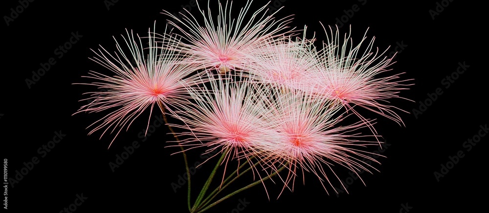 Aufkleber colorful abstract fireworks display with red and pink hues illuminating the night sky creating a vib
