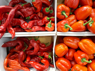 Fresh red sweet pepper close-up. Large red pepper on the counter of the store. Vegetable shop