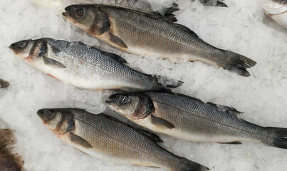 Fresh fish in the store top view