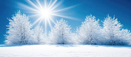 Fototapeta premium Snowy pine trees sparkling under bright sunlight against a clear blue winter sky creating a serene and picturesque landscape scene.