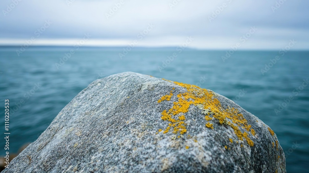 Poster close up of weathered stone covered in vibrant yellow lichen against a serene ocean backdrop with cl