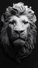 lion, King of jungle, Amazing and dangerous image of lion
