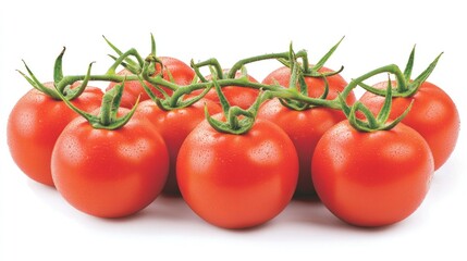 Fresh red tomatoes on green vine arranged against a clean white background perfect for food advertising or culinary themes.