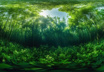 Fototapeta premium Lush Green Bamboo Forest Under Bright Sunlight with Majestic Canopy and Soft Sunbeams Filtering Through Vibrant Leaves in a Peaceful Natural Setting