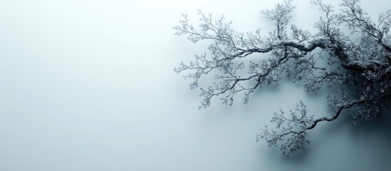 Branches of a tree silhouette against a soft gradient background for calming and serene nature-inspired themes