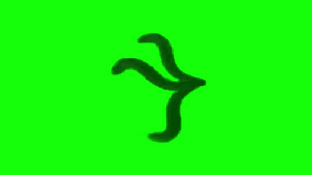 Green screen animation motion graphic with chroma key clip template 4k Background. Easy removed green screen. High resolution. Ultra High Definition, 4k video.