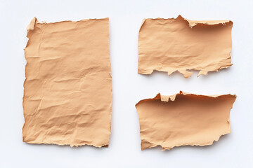 Fototapeta premium Rip paper isolated on white background, Selective focus craft paper on white, Tear off handmade paper.