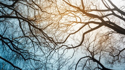 An abstract representation of cross-generational understanding with intertwined tree branches of different ages, symbolizing the strength of intergenerational relationships, minimalist composition