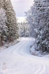 Winding snowy road in a winter forest