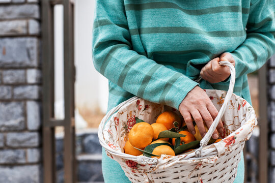 Woman holding basket with fresh mandarins with leaves
