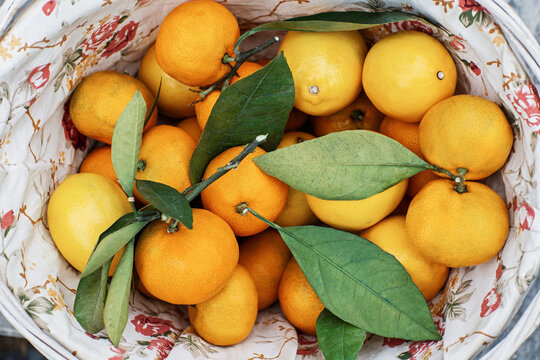 Basket with tangerines with leaves top view