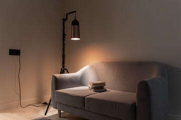 soft sofa in living room, book and floor lamp. soft lighting. illuminated by lamp. space for...