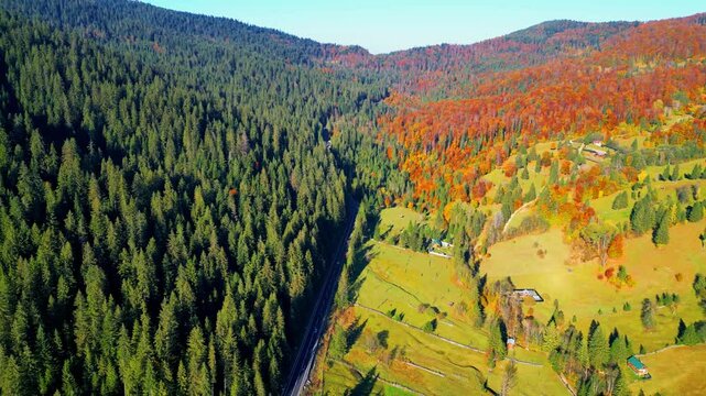 autumn landscape of forest pyramid in Romanian Carpathians