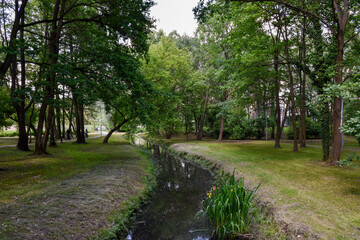 Wooded stream in summer park in Konstancin Jeziorna surrounded by trees and greenery