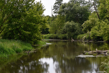 Fototapeta premium Scenic Summer Landscape with Calm River and Lush Greenery in Poland