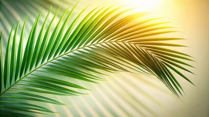 Obraz premium A single palm frond illuminated by the warm rays of the sun, casting a shadow pattern of delicate lines on a soft background.