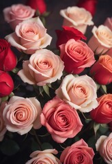 Fototapeta premium Closeup of roses concept for Valentine's Day. Selective focus