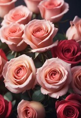 Naklejka premium Closeup of roses concept for Valentine's Day. Selective focus
