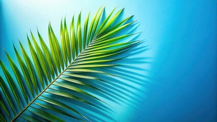 Obraz premium A single palm leaf casts a long shadow on a vibrant blue background, creating a minimalist tropical aesthetic.
