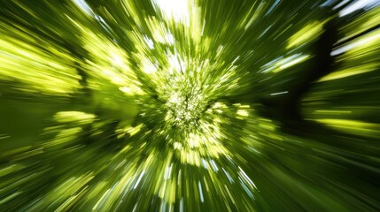 Vibrant abstract green background with soft sunlight effect creating a dynamic and natural atmosphere. Ideal for design and decoration use.