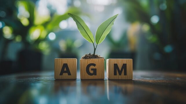 Wooden cubes spelling AGM with a green plant on a white background symbolizing business finance concepts and annual general meetings