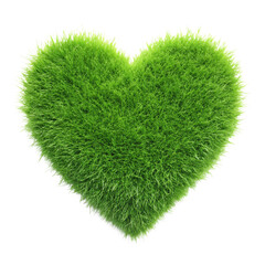 ibrant Green Hearts Collection: Adorable Plush Grass Designs Representing Nature's Love and Joyful Emotions in Vivid Displays