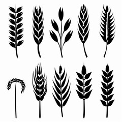 Wheat icon, rye ears sign, barley emblem, oats, cereals symbol, wheat ear, seeds, corns set