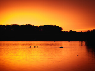 Sunrise in the Danube Delta