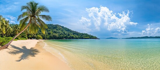 Fototapeta premium Tropical paradise beach with palm trees crystal clear water and soft white sand perfect for relaxation and unforgettable vacations