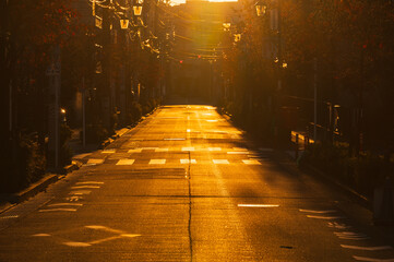 朝日に照らされて金色に輝く道