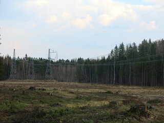 Fototapeta premium Power line in the spring forest