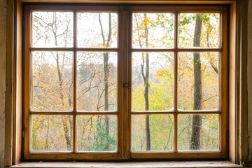 Old wooden window, autumnal forest view.