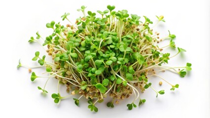 Fototapeta premium A vibrant cluster of fresh, green microgreens with delicate leaves and thin stems, capturing the essence of new life and healthy growth.