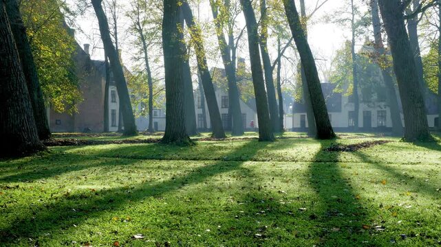 Top site of Belgium. Bruges Beguinage in fall : lights and shadows in a heaven of peace. Unesco World Heritage listed historic city.
