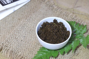 Rendang Paku is one of traditional from West Sumatera Indonesia