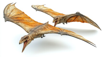 Two pterosaur-like creatures flying, showcasing their wings and fierce expressions.