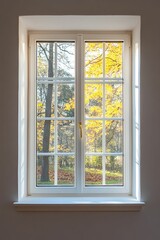Fototapeta premium White window, autumn trees, sunlight, leaves.