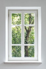 White window, green leafy tree view.