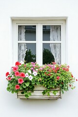 White window, flower box, colorful blooms, wall.