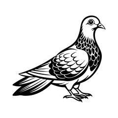 Fototapeta premium dove birds silhouette vector art isolated white background, dove icon