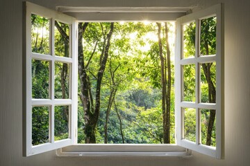 Fototapeta premium Sunlit forest viewed through open window panes.
